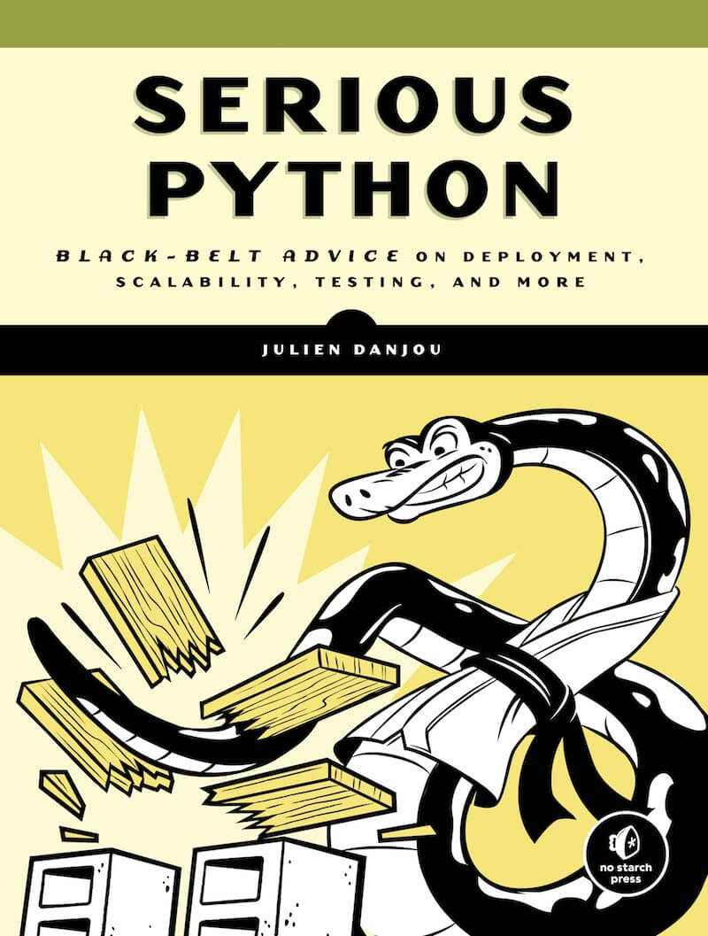 Ernsthaftes Python